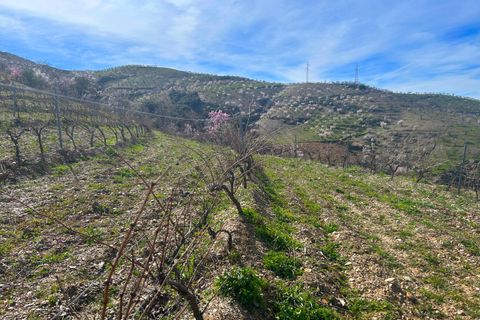 Finca i Lobras, Granada, Lobras - € 695.000 | Ref: GVCFCDM - foto 22